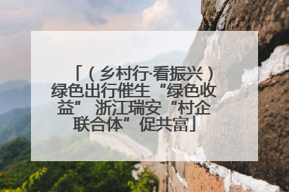 （乡村行·看振兴）绿色出行催生“绿色收益” 浙江瑞安“村企联合体”促共富