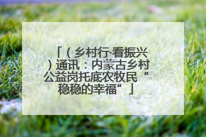 （乡村行·看振兴）通讯：内蒙古乡村公益岗托底农牧民“稳稳的幸福”