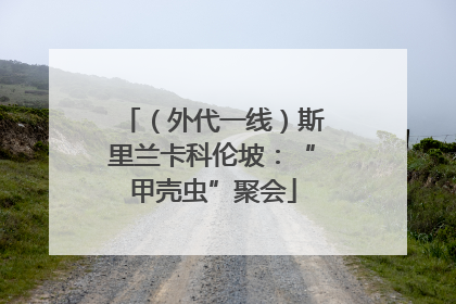 （外代一线）斯里兰卡科伦坡：“甲壳虫”聚会
