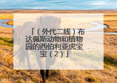 （外代二线）布达佩斯动物和植物园的西伯利亚虎宝宝（2）
