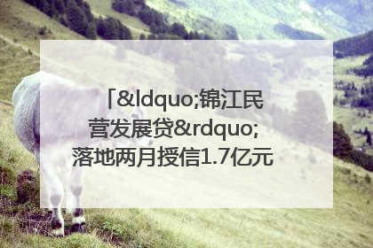 “锦江民营发展贷”落地两月授信1.7亿元，惠及118家民企