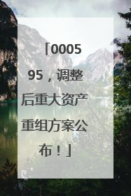 000595，调整后重大资产重组方案公布！