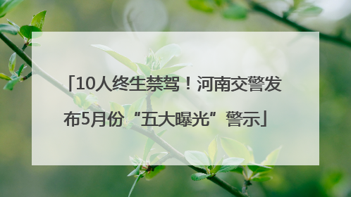 10人终生禁驾！河南交警发布5月份“五大曝光”警示