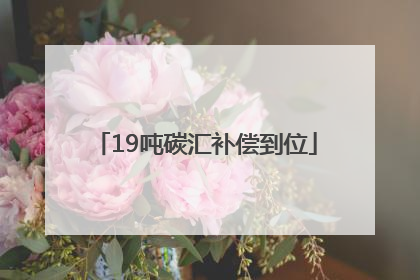 19吨碳汇补偿到位