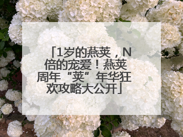 1岁的燕荚，N 倍的宠爱！燕荚周年“荚”年华狂欢攻略大公开