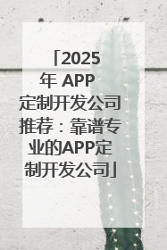 2025 年 APP 定制开发公司推荐：靠谱专业的APP定制开发公司