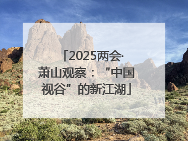 2025两会·萧山观察：“中国视谷”的新江湖