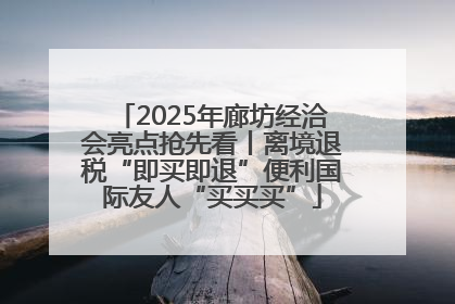 2025年廊坊经洽会亮点抢先看丨离境退税“即买即退”便利国际友人“买买买”
