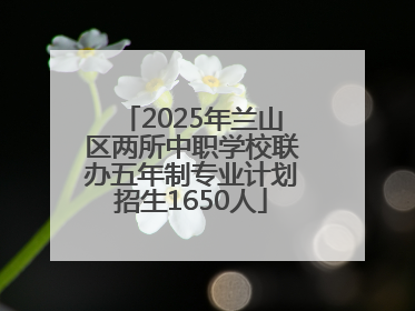 2025年兰山区两所中职学校联办五年制专业计划招生1650人