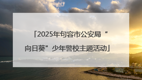 2025年句容市公安局“向日葵”少年警校主题活动