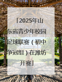 2025年山东省青少年校园足球联赛（初中争冠组）在潍坊开赛
