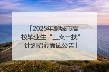 2025年聊城市高校毕业生“三支一扶”计划招募面试公告