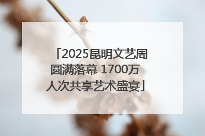 2025昆明文艺周圆满落幕 1700万人次共享艺术盛宴