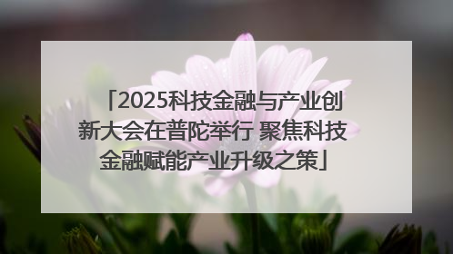 2025科技金融与产业创新大会在普陀举行 聚焦科技金融赋能产业升级之策
