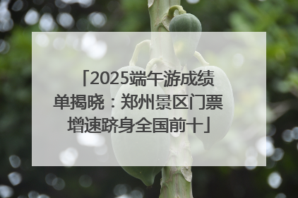 2025端午游成绩单揭晓：郑州景区门票增速跻身全国前十