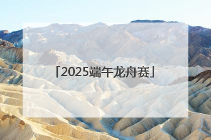 2025端午龙舟赛