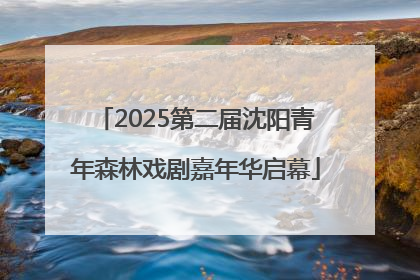 2025第二届沈阳青年森林戏剧嘉年华启幕