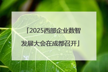 2025西部企业数智发展大会在成都召开