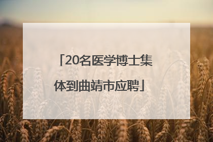 20名医学博士集体到曲靖市应聘