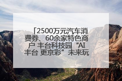 2500万元汽车消费券、60余家特色商户 丰台科技园“AI丰台 更京彩”未来玩家市集活动正式开幕