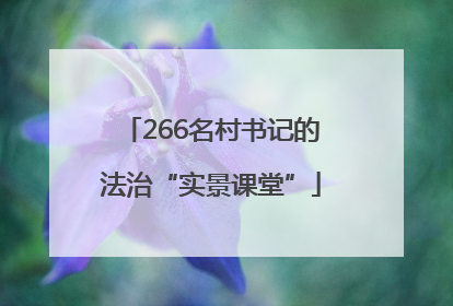 266名村书记的法治“实景课堂”