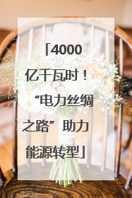 4000亿千瓦时！“电力丝绸之路”助力能源转型