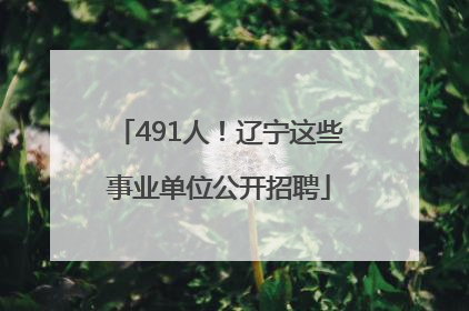 491人！辽宁这些事业单位公开招聘