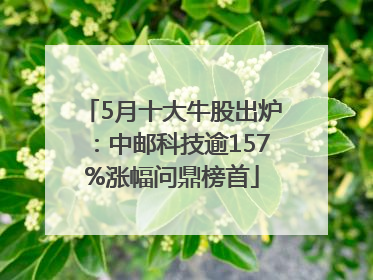 5月十大牛股出炉：中邮科技逾157%涨幅问鼎榜首
