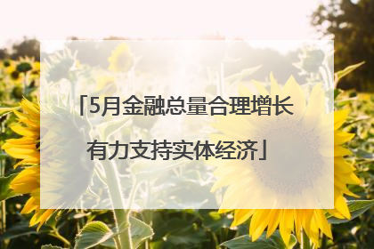 5月金融总量合理增长 有力支持实体经济