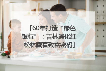 60年打造“绿色银行”：吉林通化红松林藏着致富密码