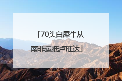 70头白犀牛从南非运抵卢旺达