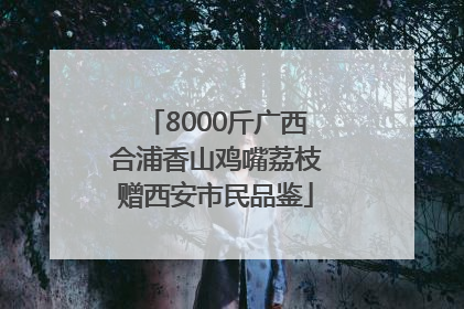 8000斤广西合浦香山鸡嘴荔枝赠西安市民品鉴