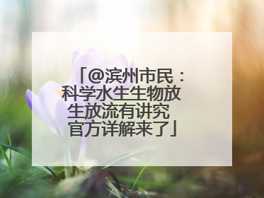 @滨州市民：科学水生生物放生放流有讲究 官方详解来了