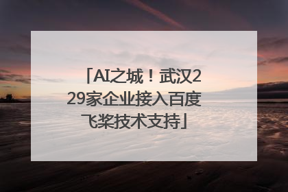 AI之城！武汉229家企业接入百度飞桨技术支持