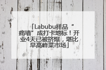 Labubu样品“痛墙”成打卡地标！开业4天已被挤爆，堪比早高峰菜市场