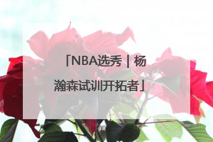 NBA选秀｜杨瀚森试训开拓者